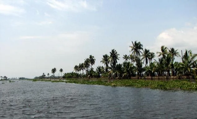 Kuttanad Waterways and Temple Tank Heritage